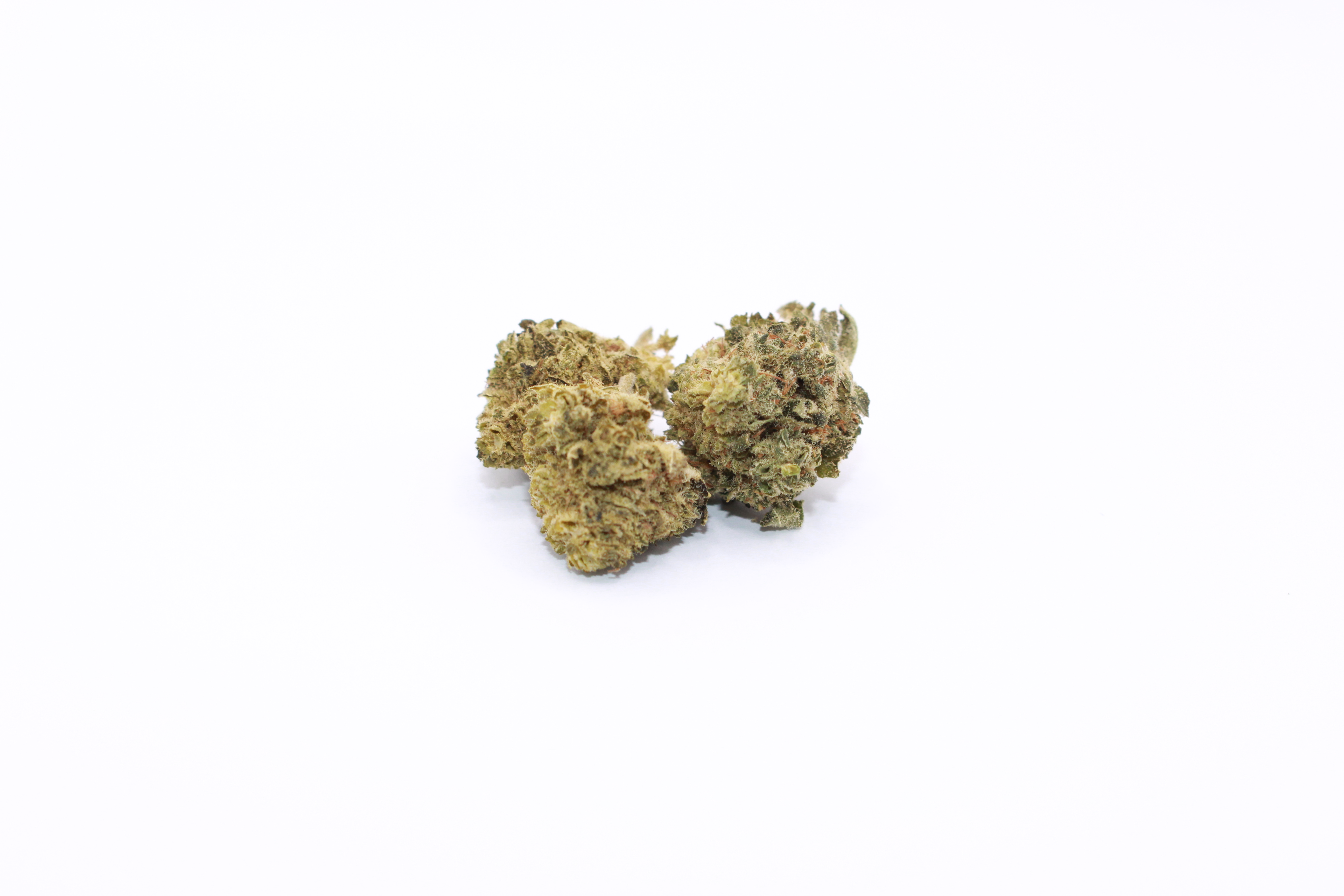 BlueCanoby Super Silver Haze